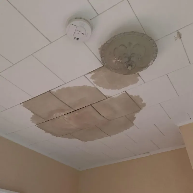 Ceiling Water Damage Repair in Loch Lomond, VA