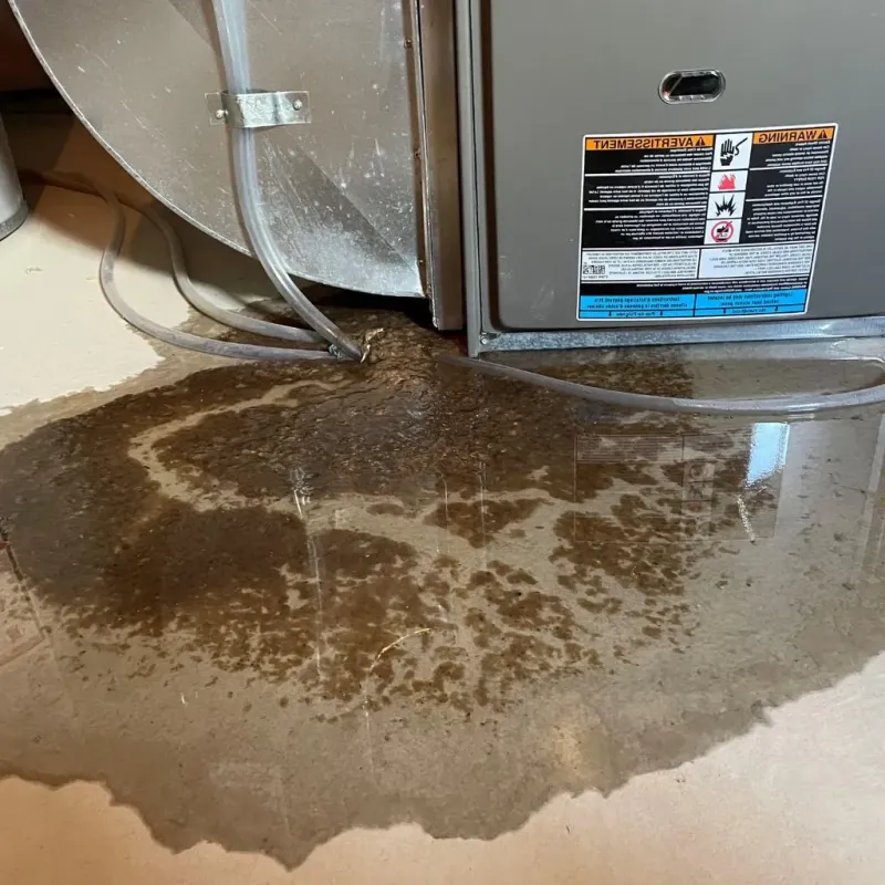 Pipe Burst and Leak Restoration in Loch Lomond, VA