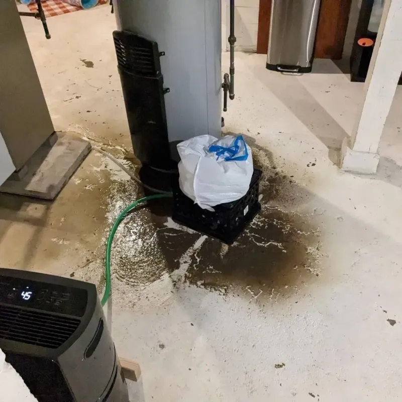 Sewage Backup Cleanup Service in Loch Lomond, VA